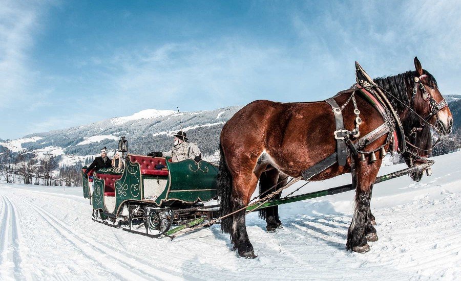 Winterurlaub im Zillertal - Kutschenfahrten
